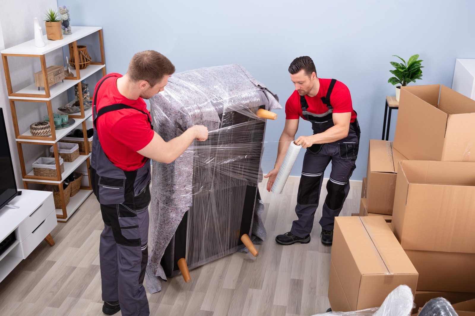 Movers and Packers in Science City Dubai